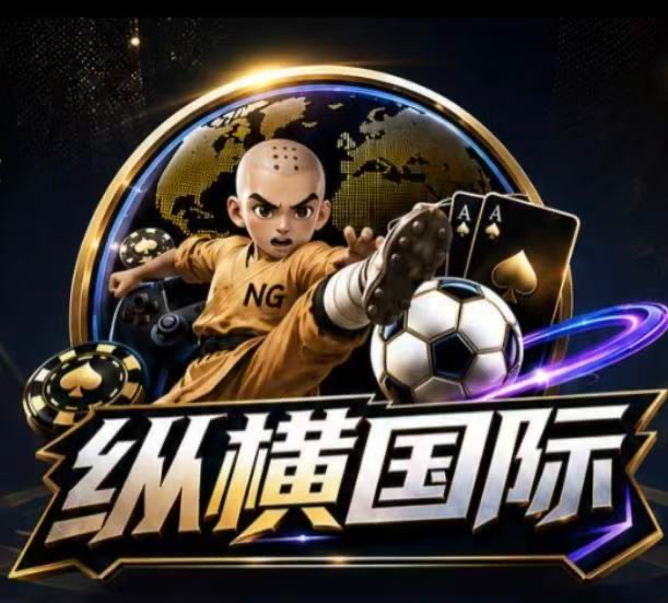 纵横国际